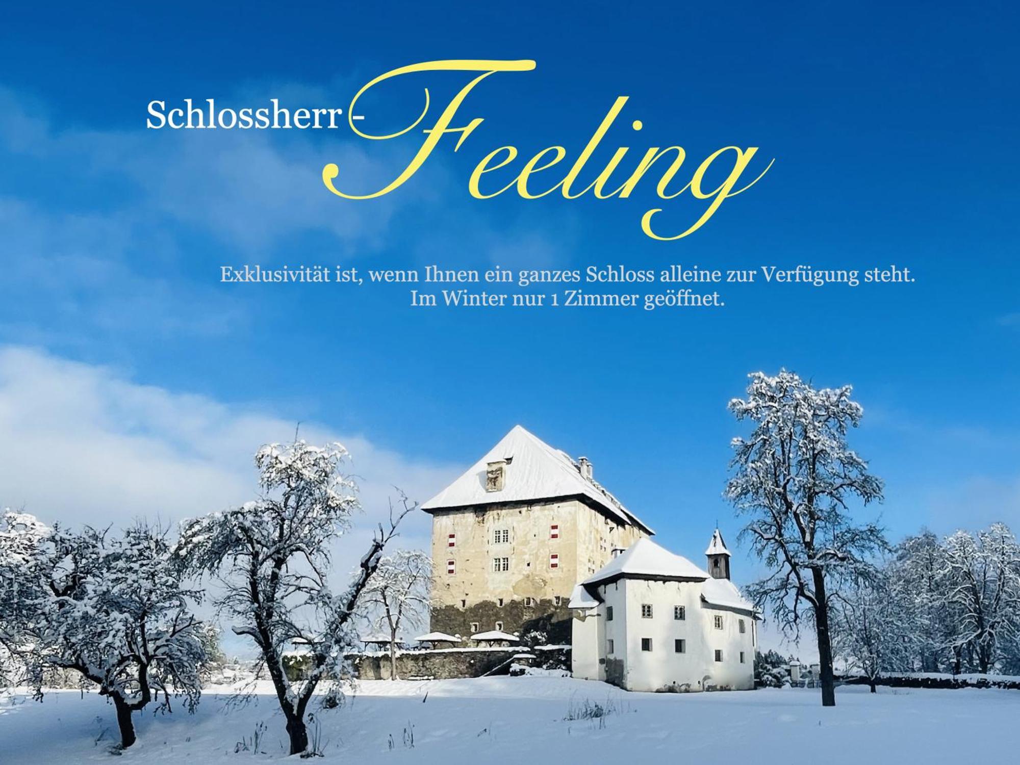 Schloss Moosburg Gaestehaus Екстер'єр фото