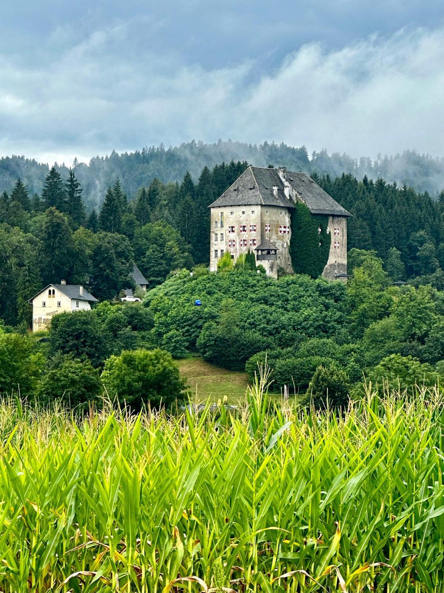 Schloss Moosburg Gaestehaus Екстер'єр фото
